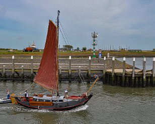 Texel_20120702_611