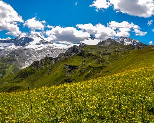 Vakantie_Tirol_20110802_467